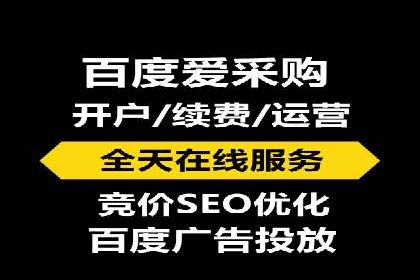SEM服务案例：打造行业领先品牌